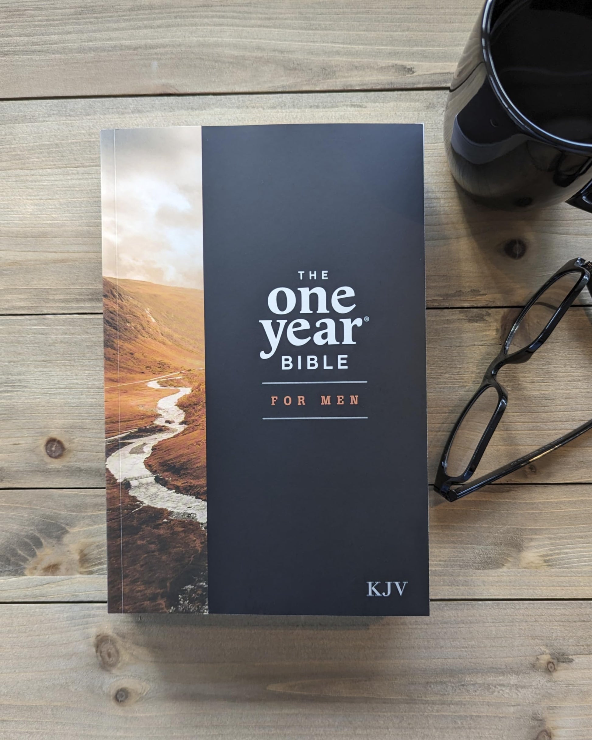 The One Year Bible for Men, KJV (Softcover)