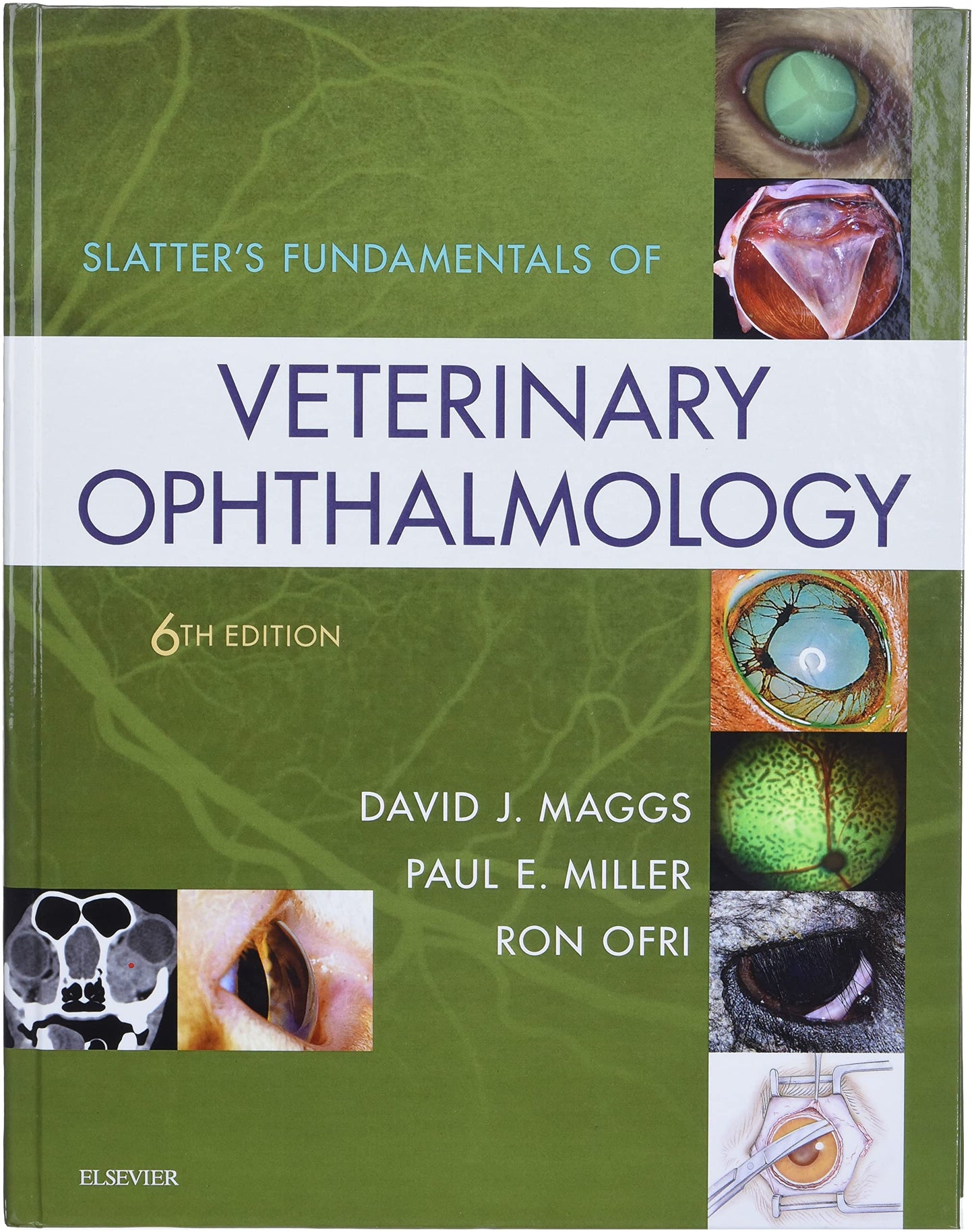 Slatter's Fundamentals of Veterinary Ophthalmology by Maggs