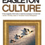 Culture