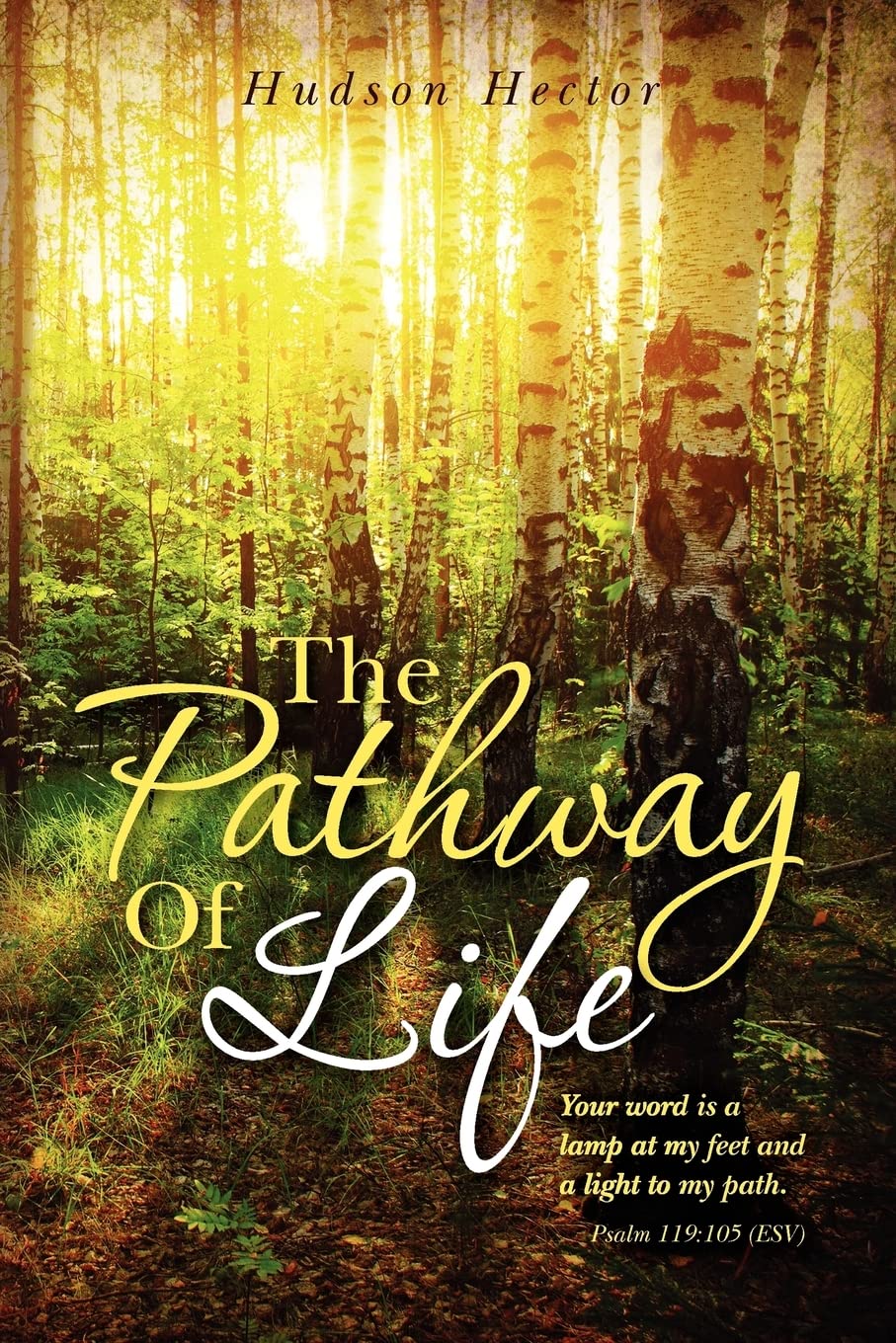 The Pathway Of Life
