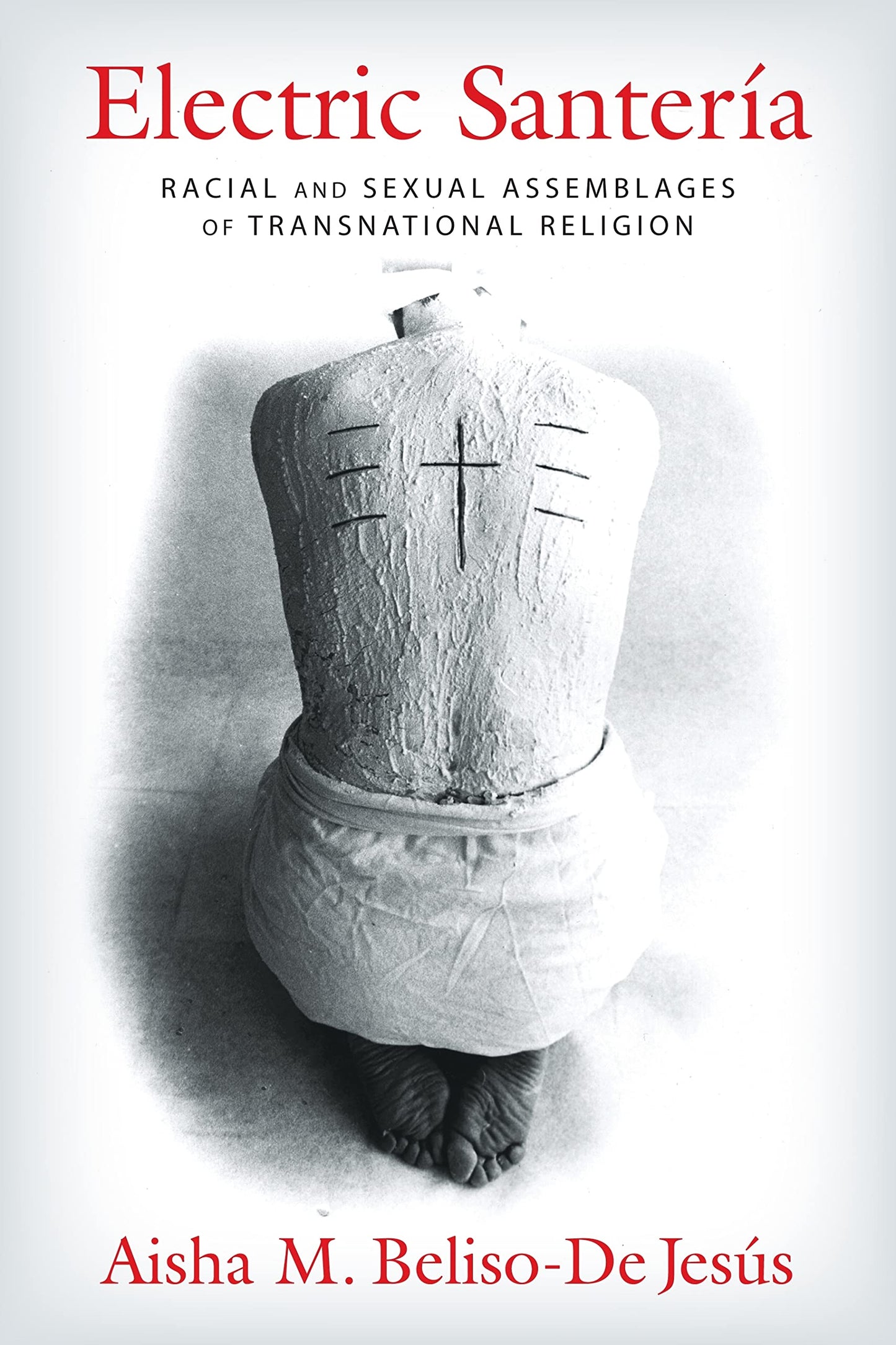 Electric Santería: Racial and Sexual Assemblages of Transnational Religion (Gender, Theory, and Religion)