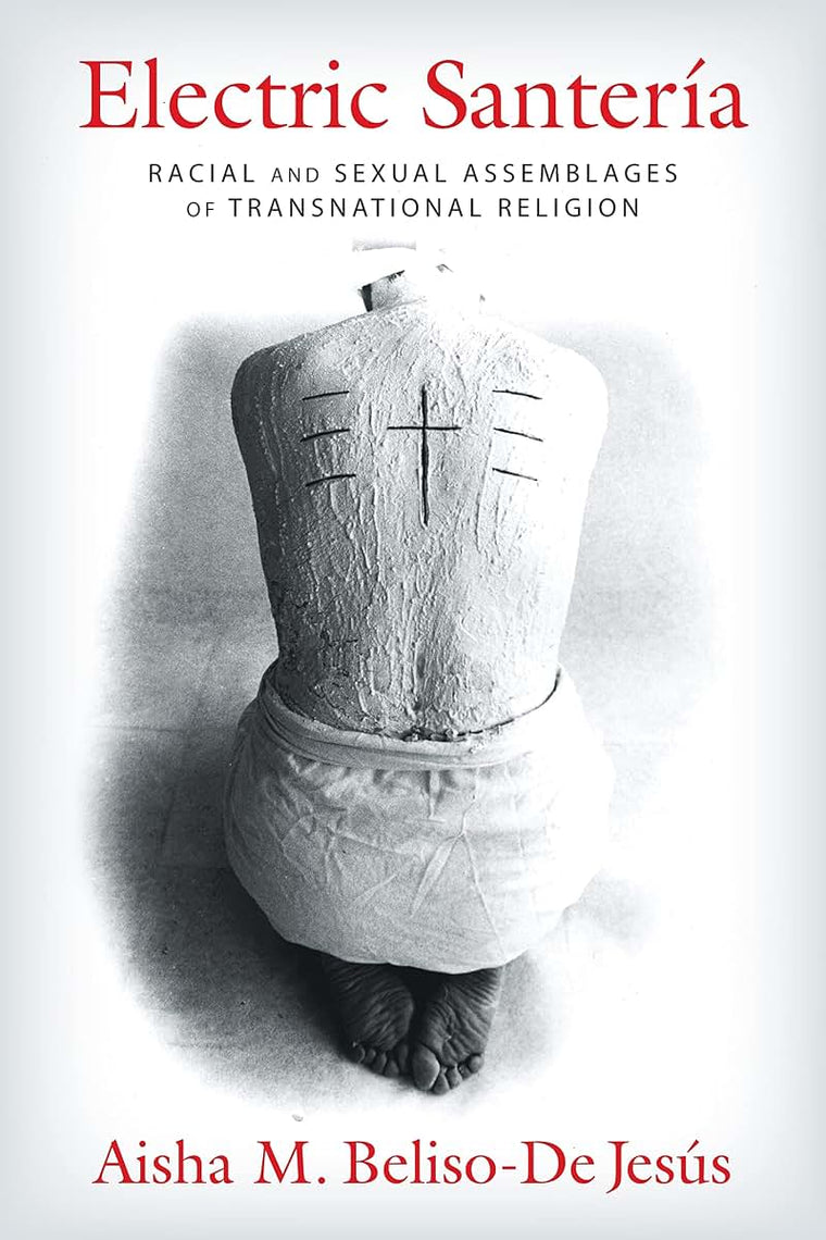 Electric Santería: Racial and Sexual Assemblages of Transnational Religion (Gender, Theory, and Religion)