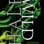 Half Bad Trilogy Series 3 Books Collection Set by Sally Green (Half Bad, Half Wild & Half Lost)