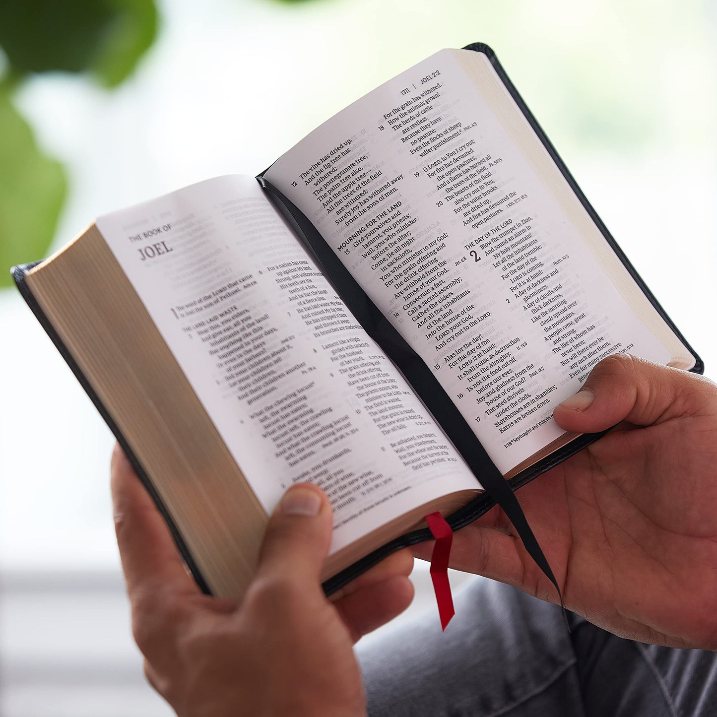NKJV, End-of-Verse Reference Bible, Compact, Leathersoft, Brown, Red Letter, Comfort Print: Holy Bible, New King James Version