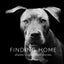Finding Home: Shelter Dogs and Their Stories