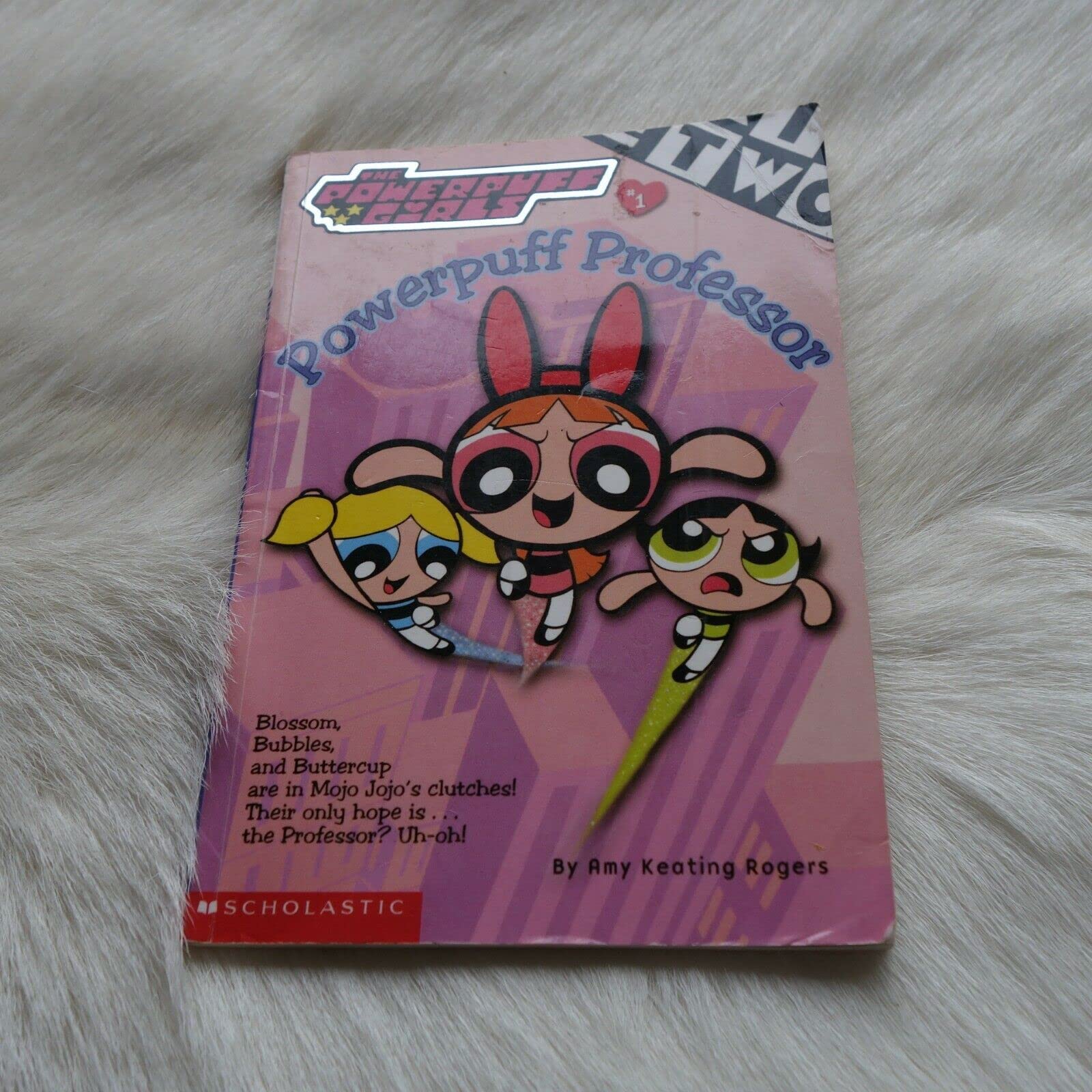 Powerpuff Girls Chapter Book #01: Powerful Professor