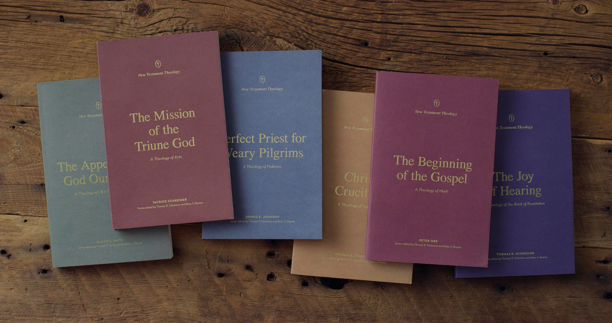 The Mission of the Triune God: A Theology of Acts (New Testament Theology)