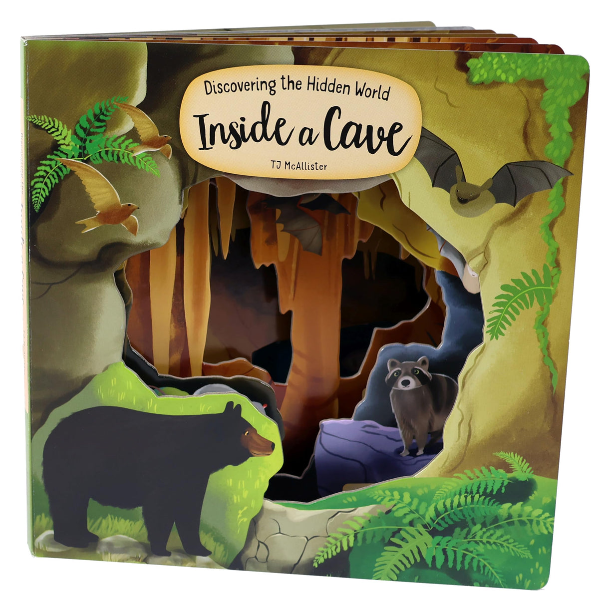 Discovering the Hidden World Inside a Cave (Happy Fox Books) Board Book for Kids Ages 3-6 about Caves and Cave-Dwelling Animals, with Peekaboo Cut-Outs, Fun Facts, and Vocabulary Words (Peek Inside)