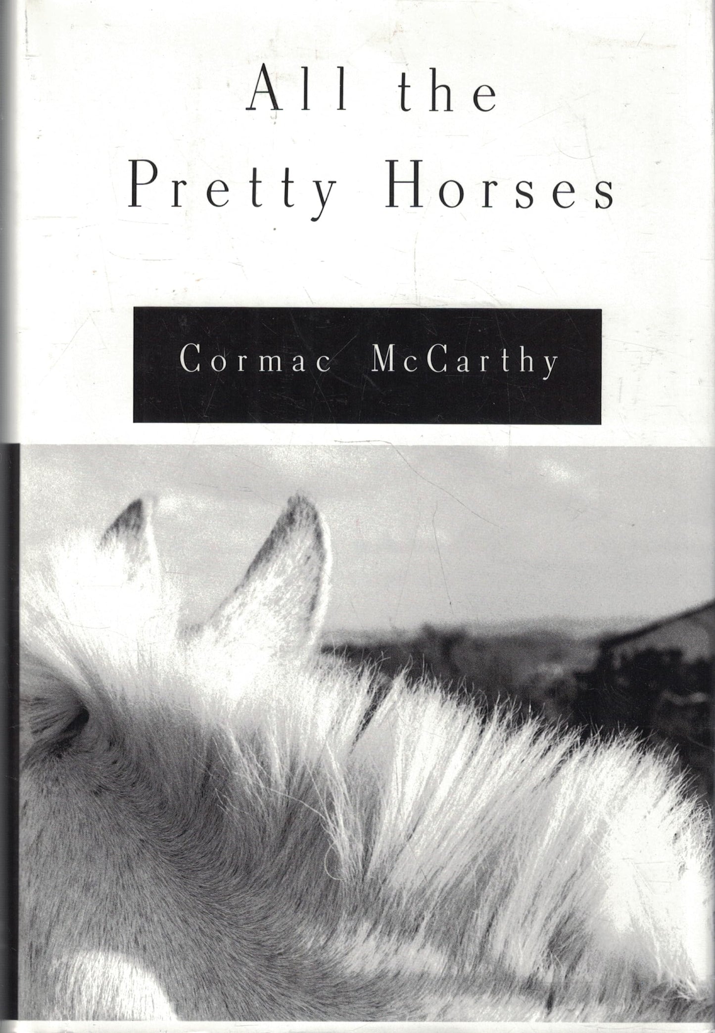 All the Pretty Horses
