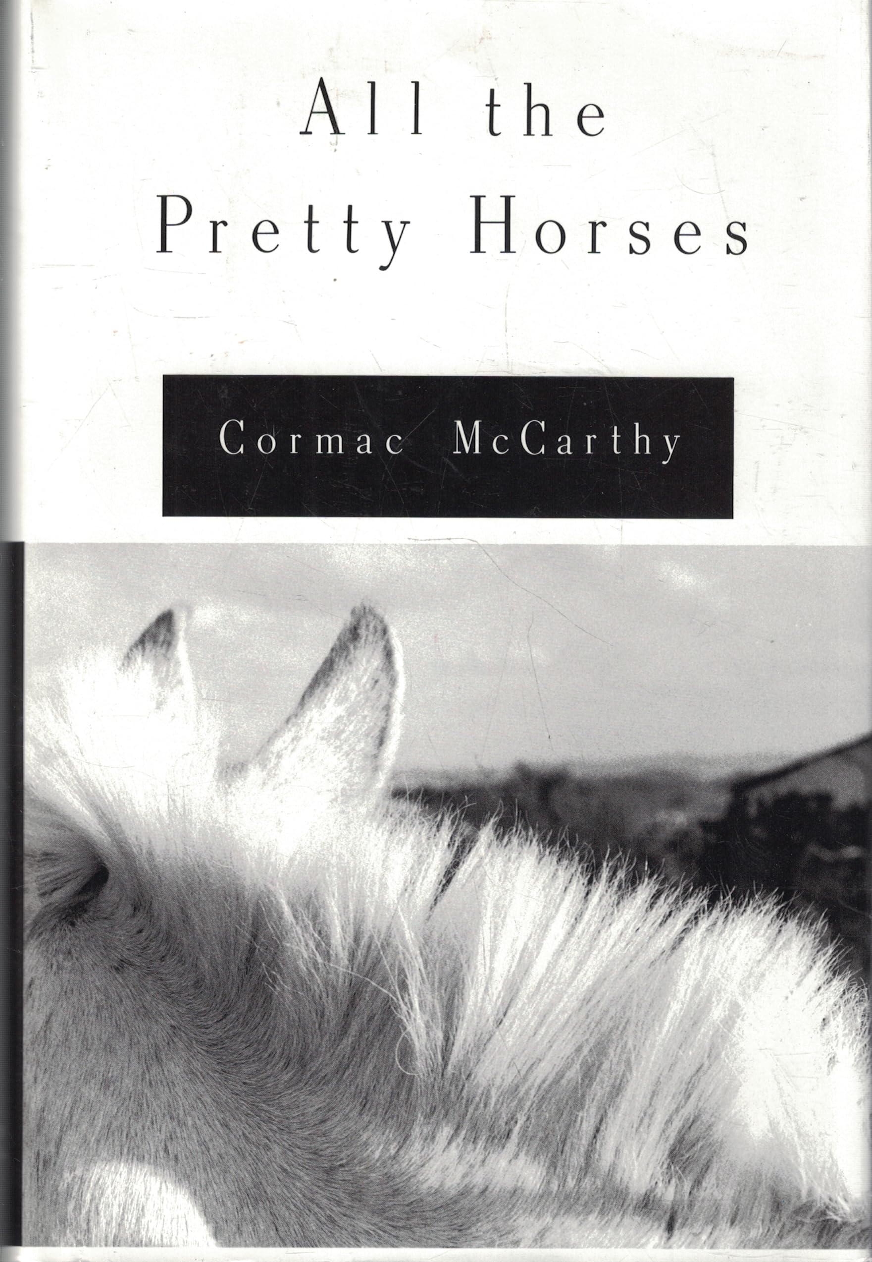 All the Pretty Horses