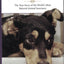 Best Friends: The True Story of the World's Most Beloved Animal Sanctuary