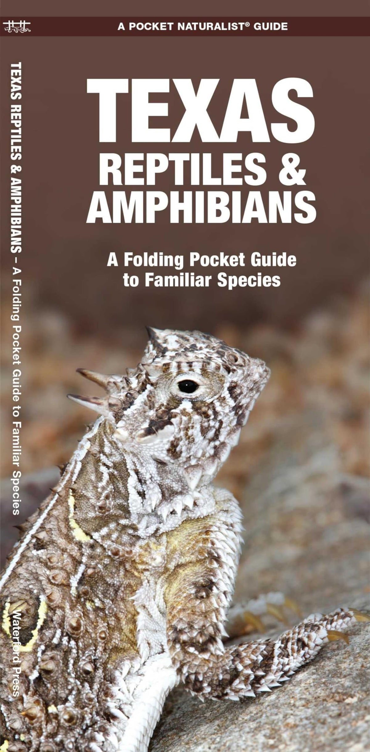 Texas Reptiles & Amphibians: A Folding Pocket Guide to Familiar Species (Nature Observation North America)