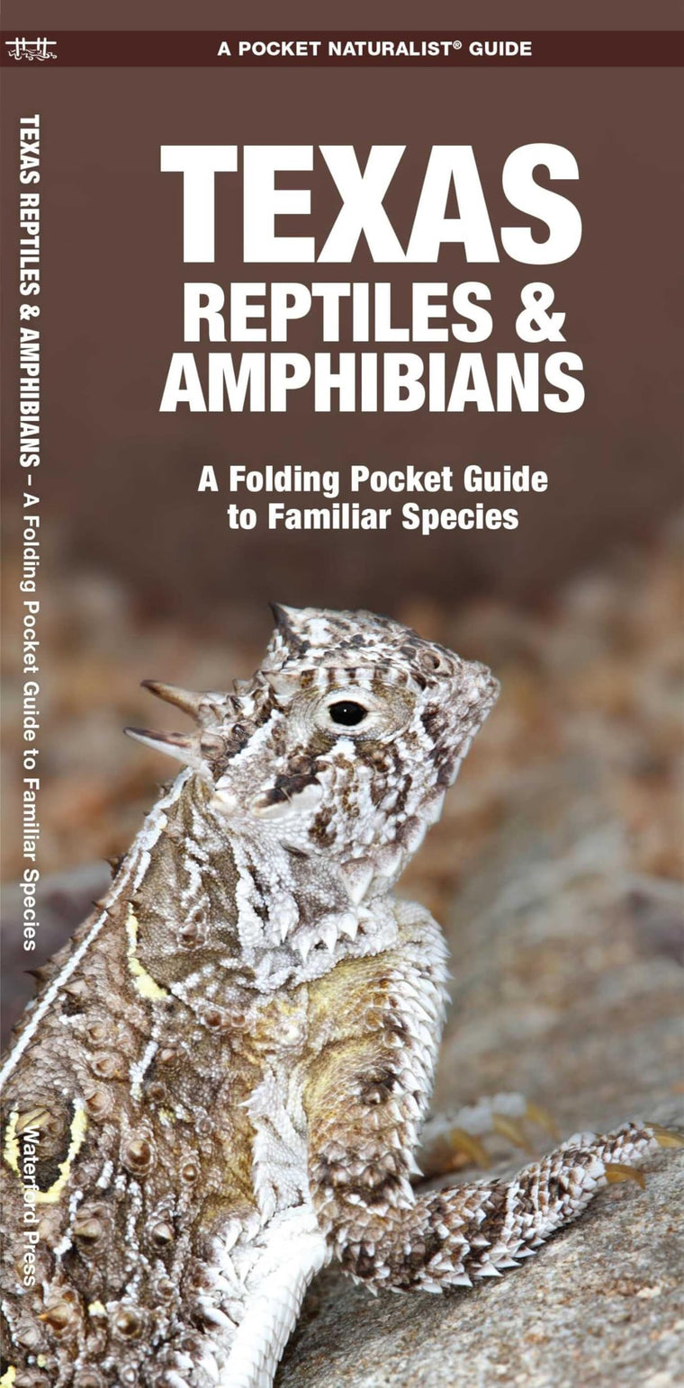 Texas Reptiles & Amphibians: A Folding Pocket Guide to Familiar Species (Nature Observation North America)