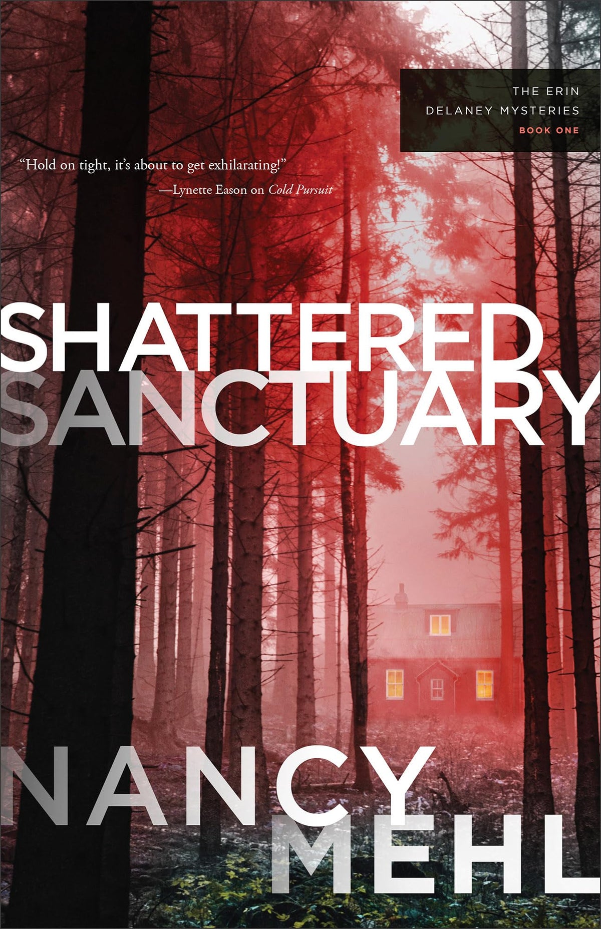 Shattered Sanctuary: A Christian Mystery and Suspense Novel with Action and Clean Romance (The Erin Delaney Mysteries)