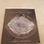 Principles of Human Physiology (5th Edition)