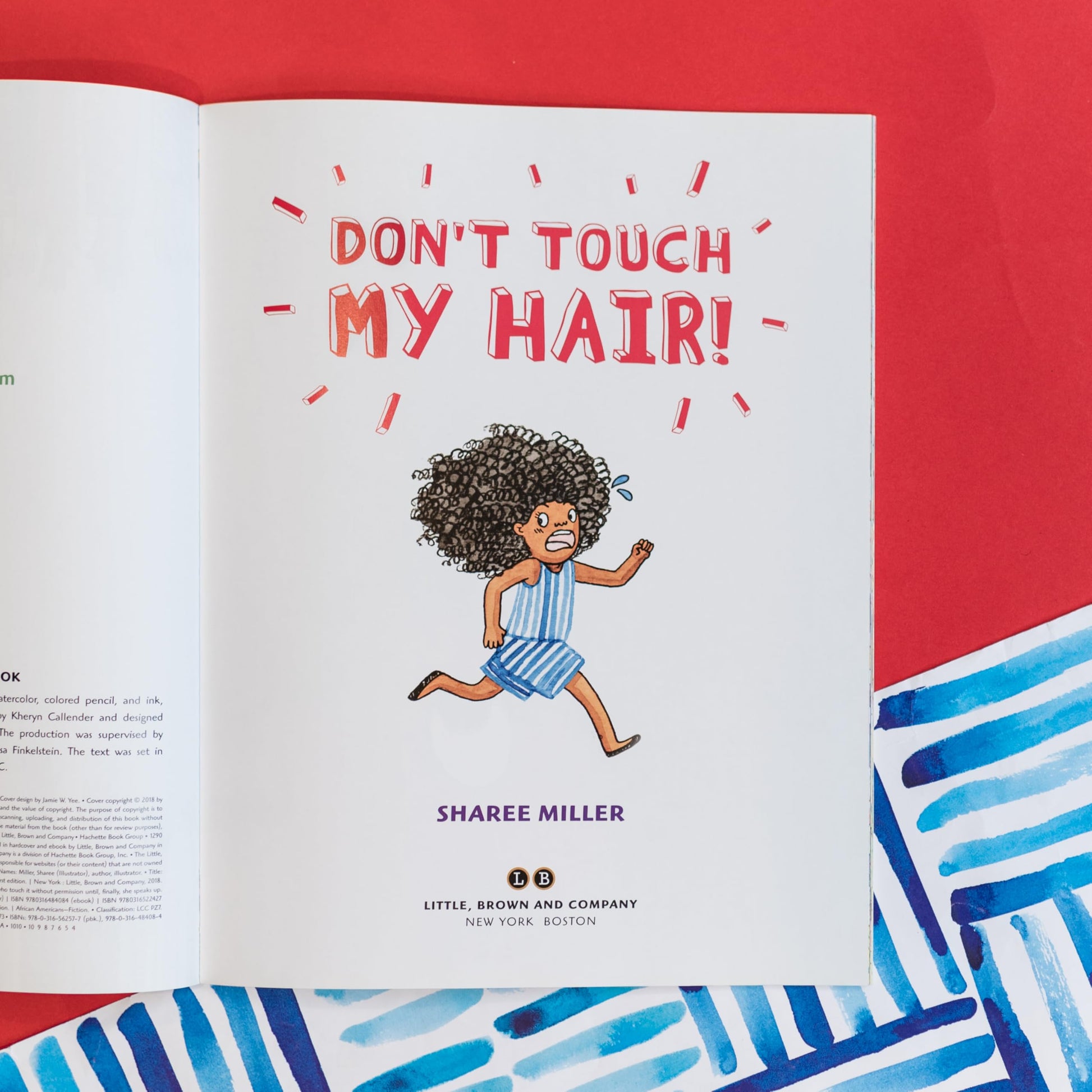 Don't Touch My Hair!