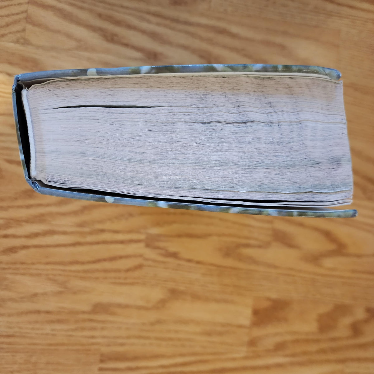 NIV Women of Faith Study Bible