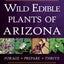 Wild Edible Plants of Arizona