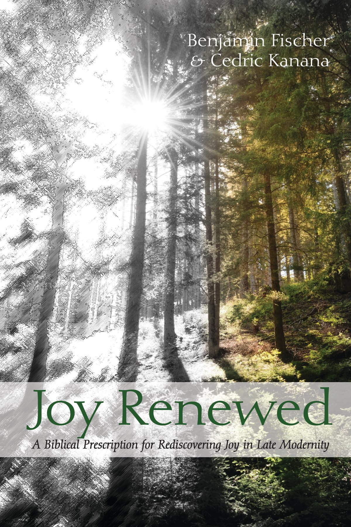Joy Renewed: A Biblical Prescription for Rediscovering Joy in Late Modernity