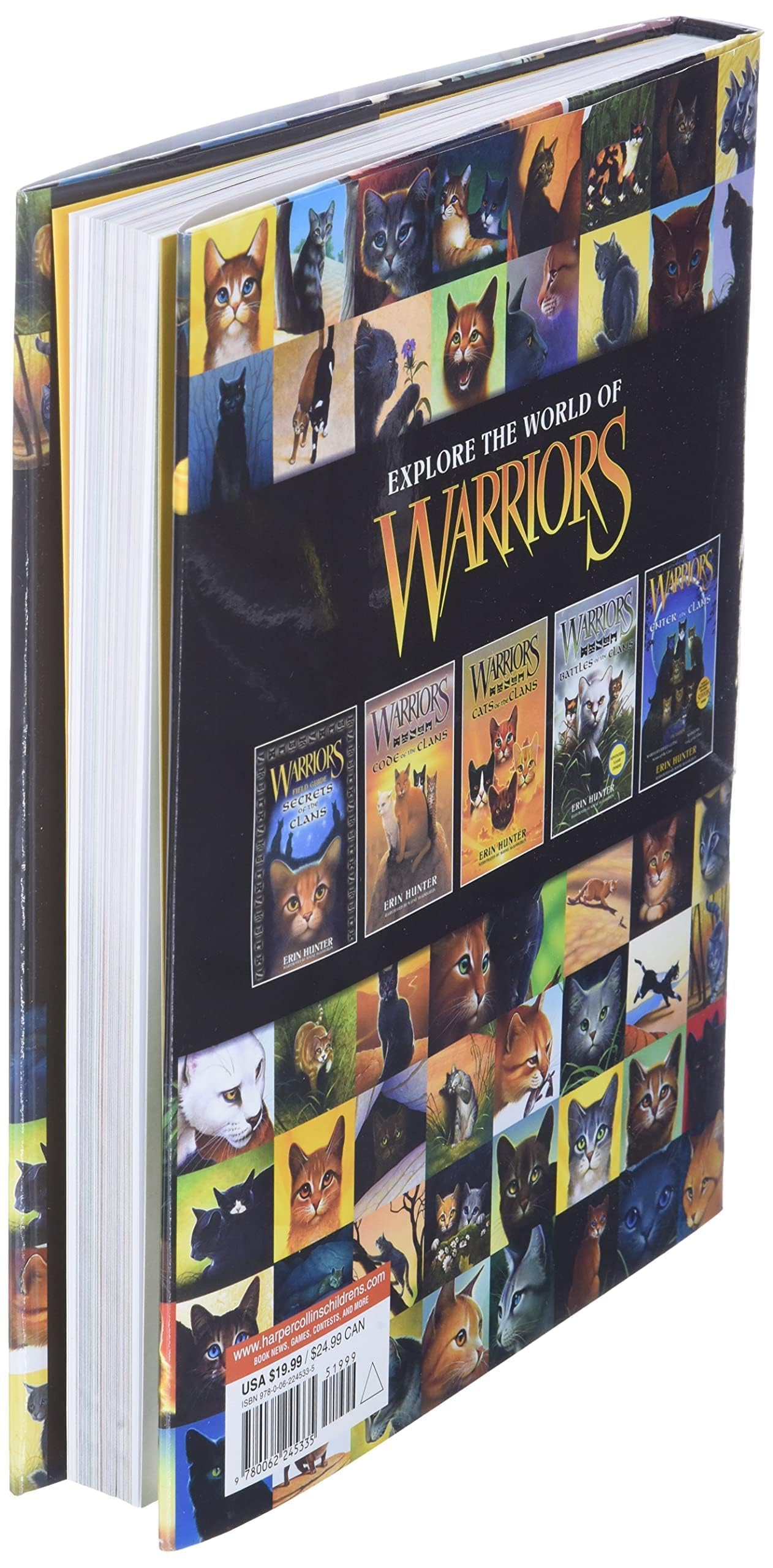Warriors: The Ultimate Guide (Warriors Field Guide)