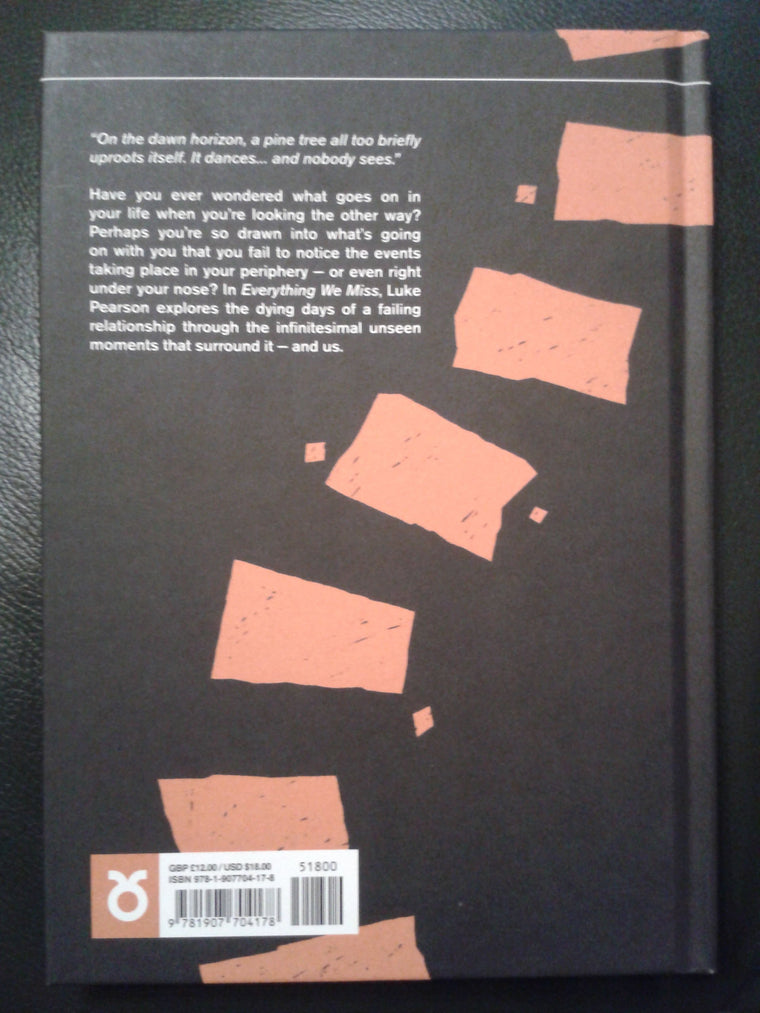 Everything We Miss — back cover