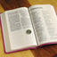 NIV Value Thinline Bible Leathersoft Pink Comfort Print