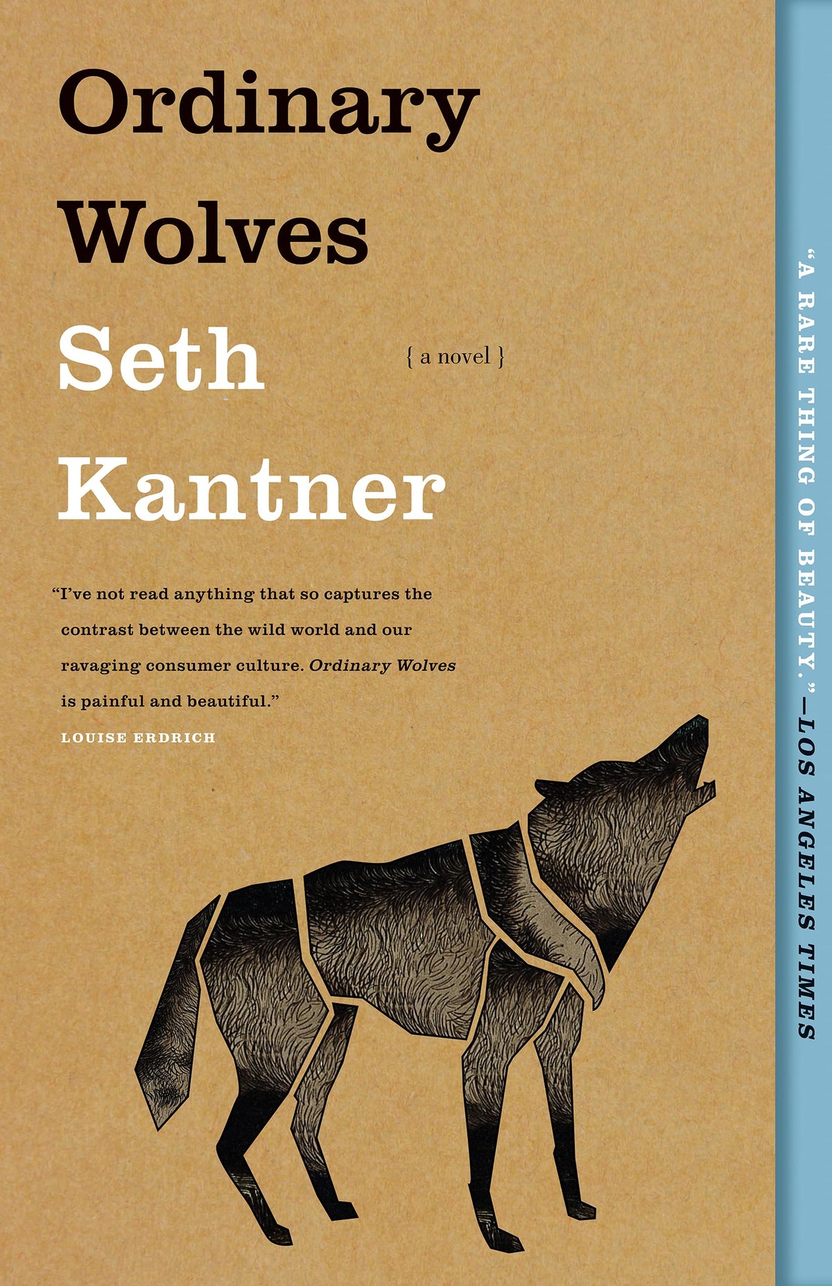 Ordinary Wolves: A Novel