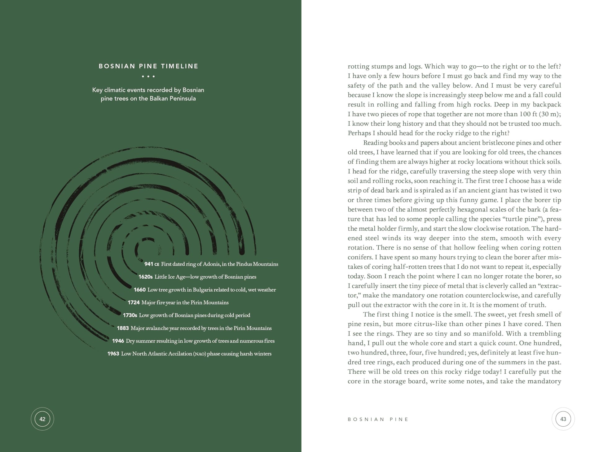 In the Circle of Ancient Trees: Our Oldest Trees and the Stories They Tell