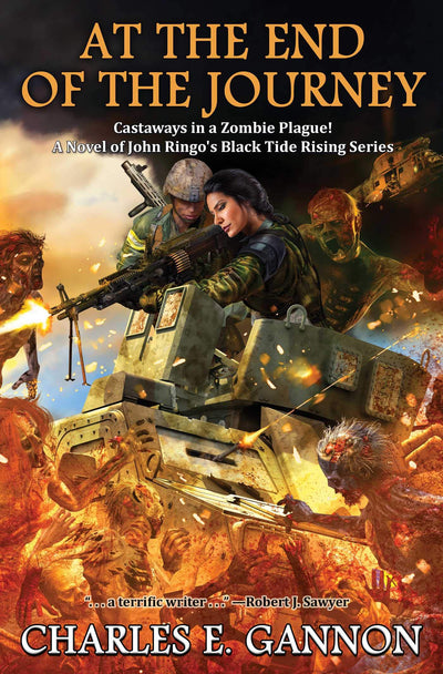 At the End of the Journey (10) (Black Tide Rising)