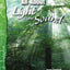 All About Light and Sound: Physical Science (Science Readers)