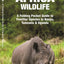 East Africa Wildlife: A Folding Pocket Guide to Familiar Species in Kenya, Tanzania & Uganda (Nature Observation International)