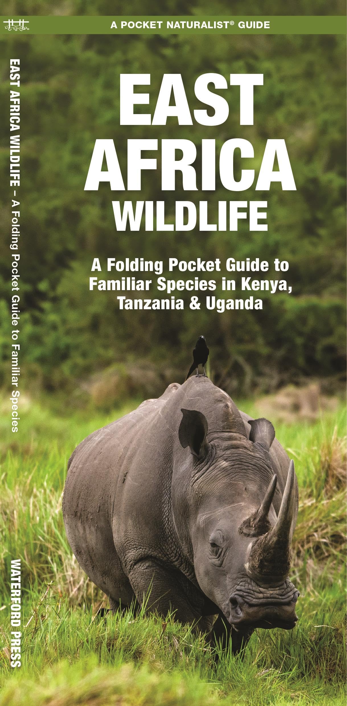 East Africa Wildlife: A Folding Pocket Guide to Familiar Species in Kenya, Tanzania & Uganda (Nature Observation International)