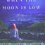 When the Moon Is Low: A Novel
