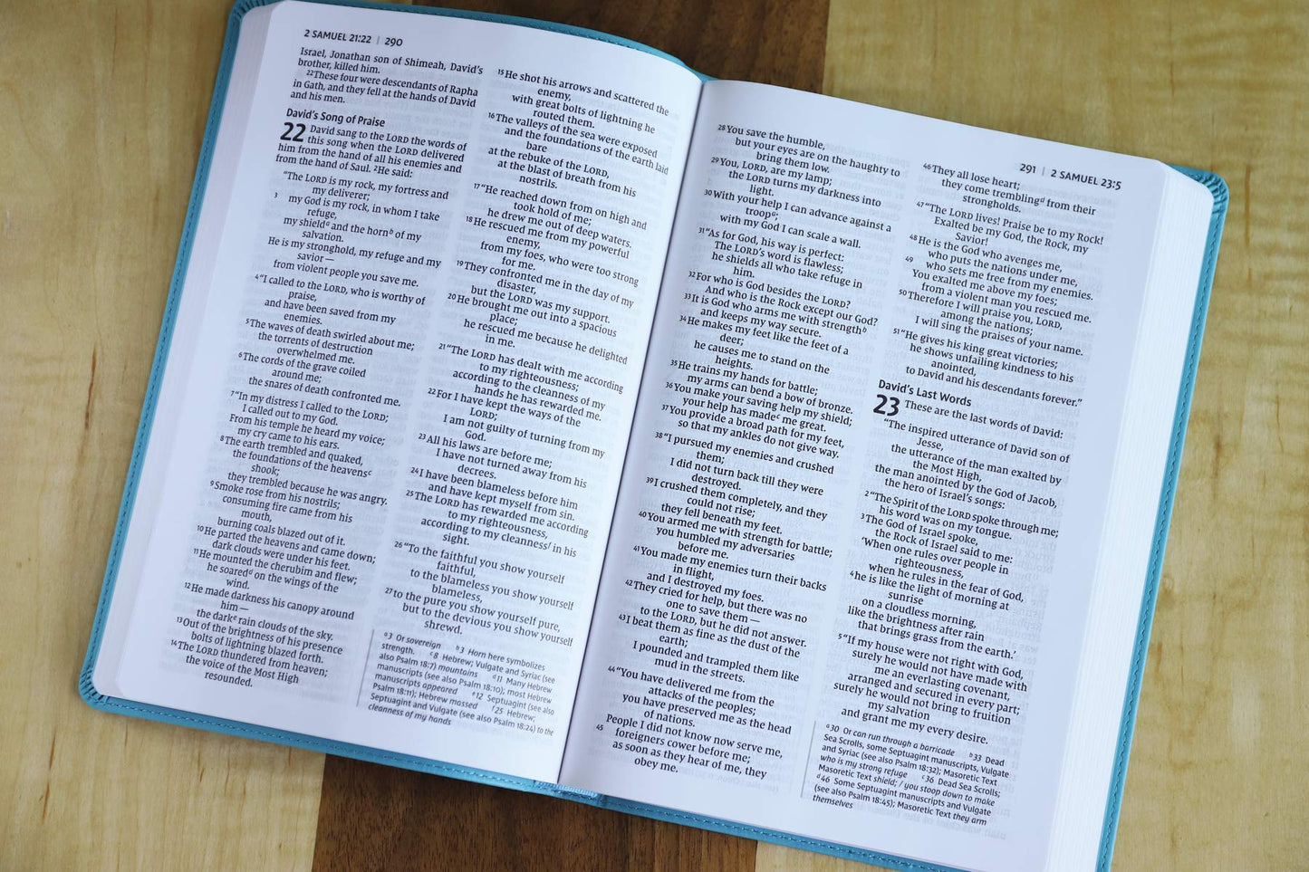NIV, Value Thinline Bible, Large Print, Leathersoft, Teal, C