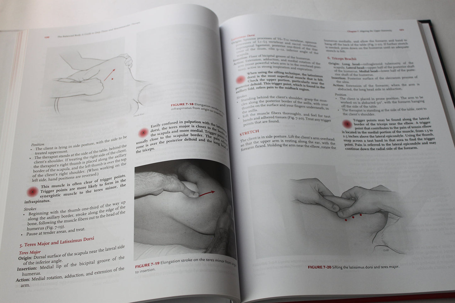 The Balanced Body: A Guide to Deep Tissue and Neuromuscular Therapy with CDROM (LWW Massage Therapy and Bodywork Educational Series) (3rd edition)