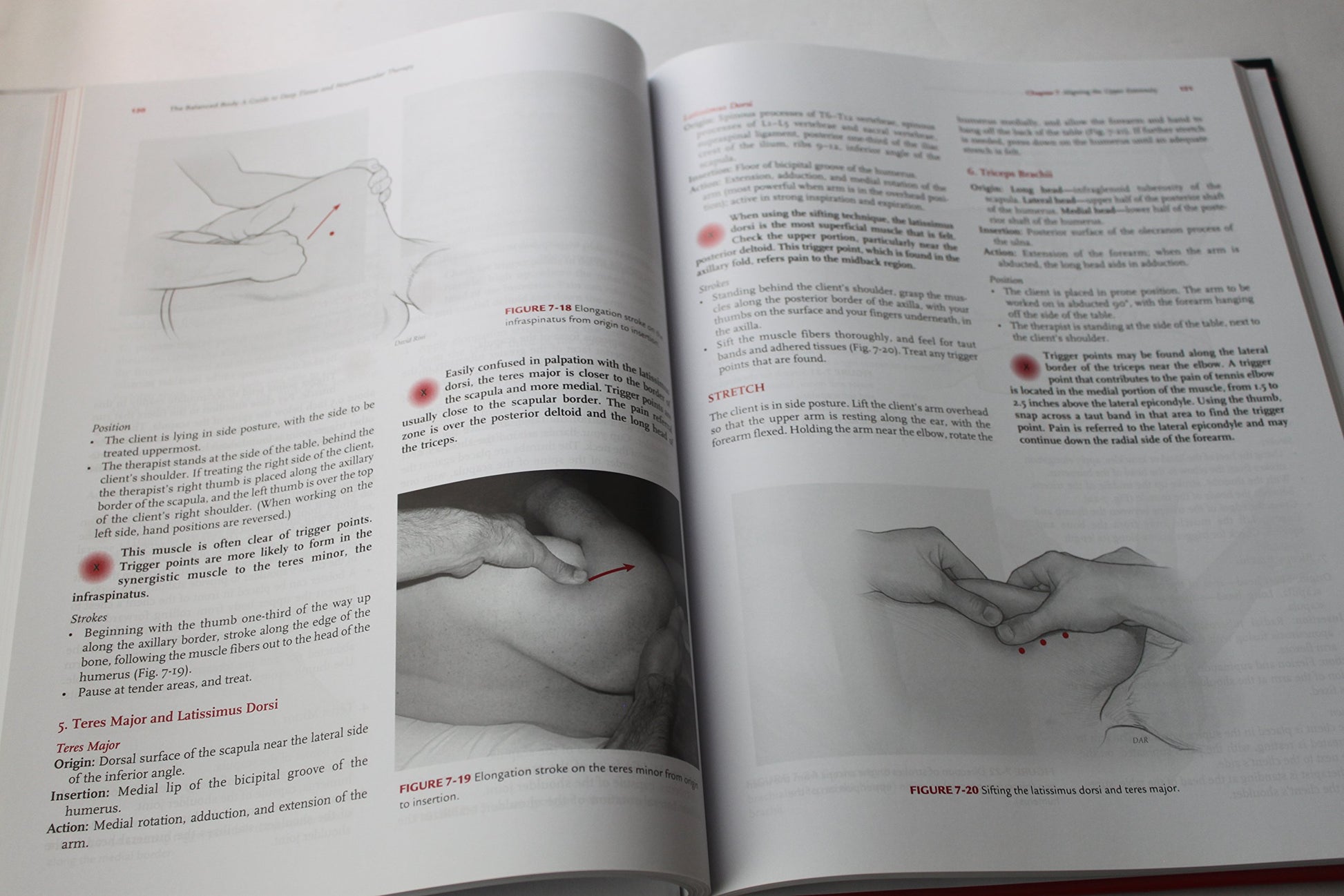 The Balanced Body: A Guide to Deep Tissue and Neuromuscular Therapy with CDROM (LWW Massage Therapy and Bodywork Educational Series) (3rd edition)