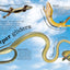 Everything You Need to Know About Snakes by DK