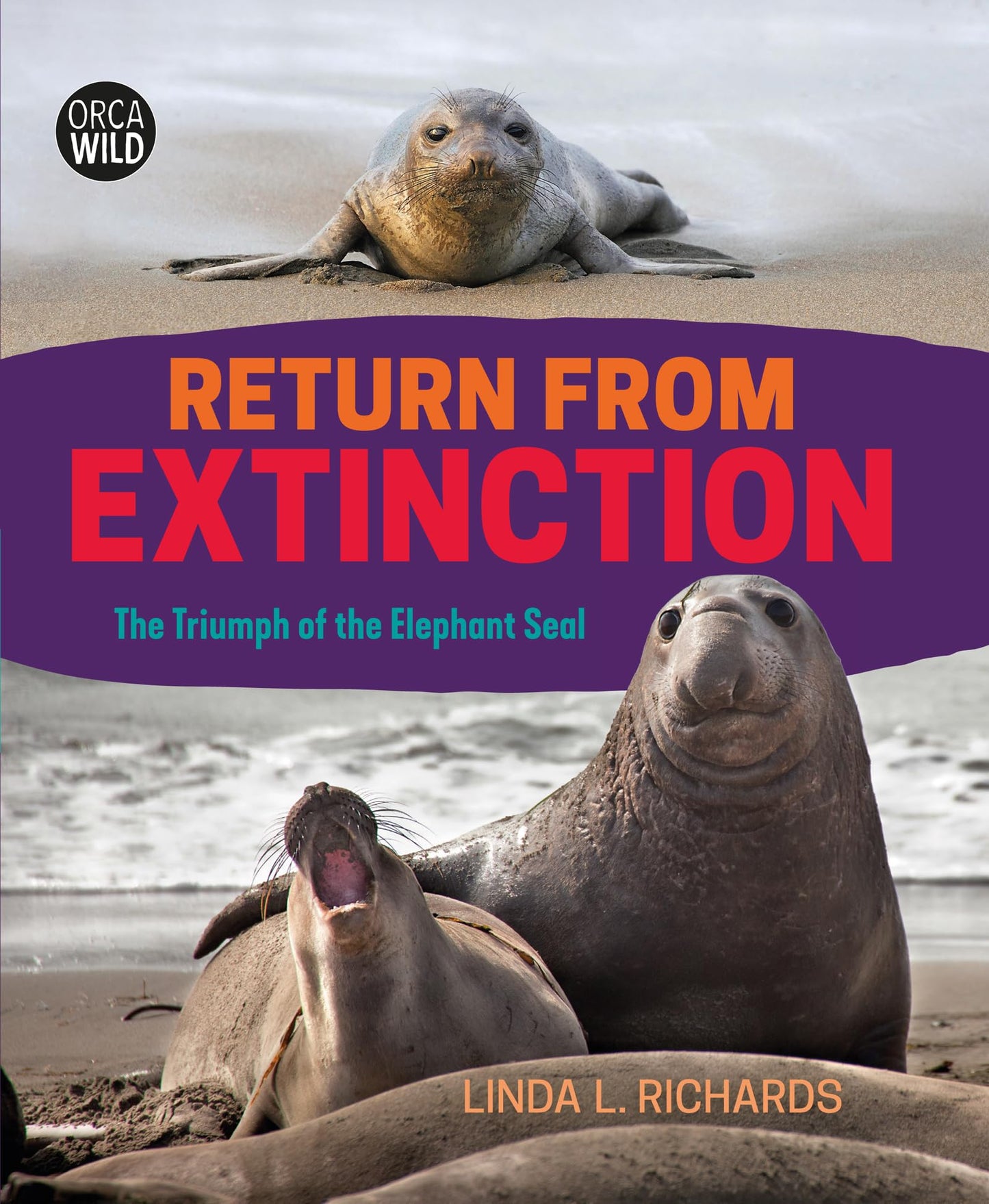 Return from Extinction: The Triumph of the Elephant Seal (Orca Wild, 5)