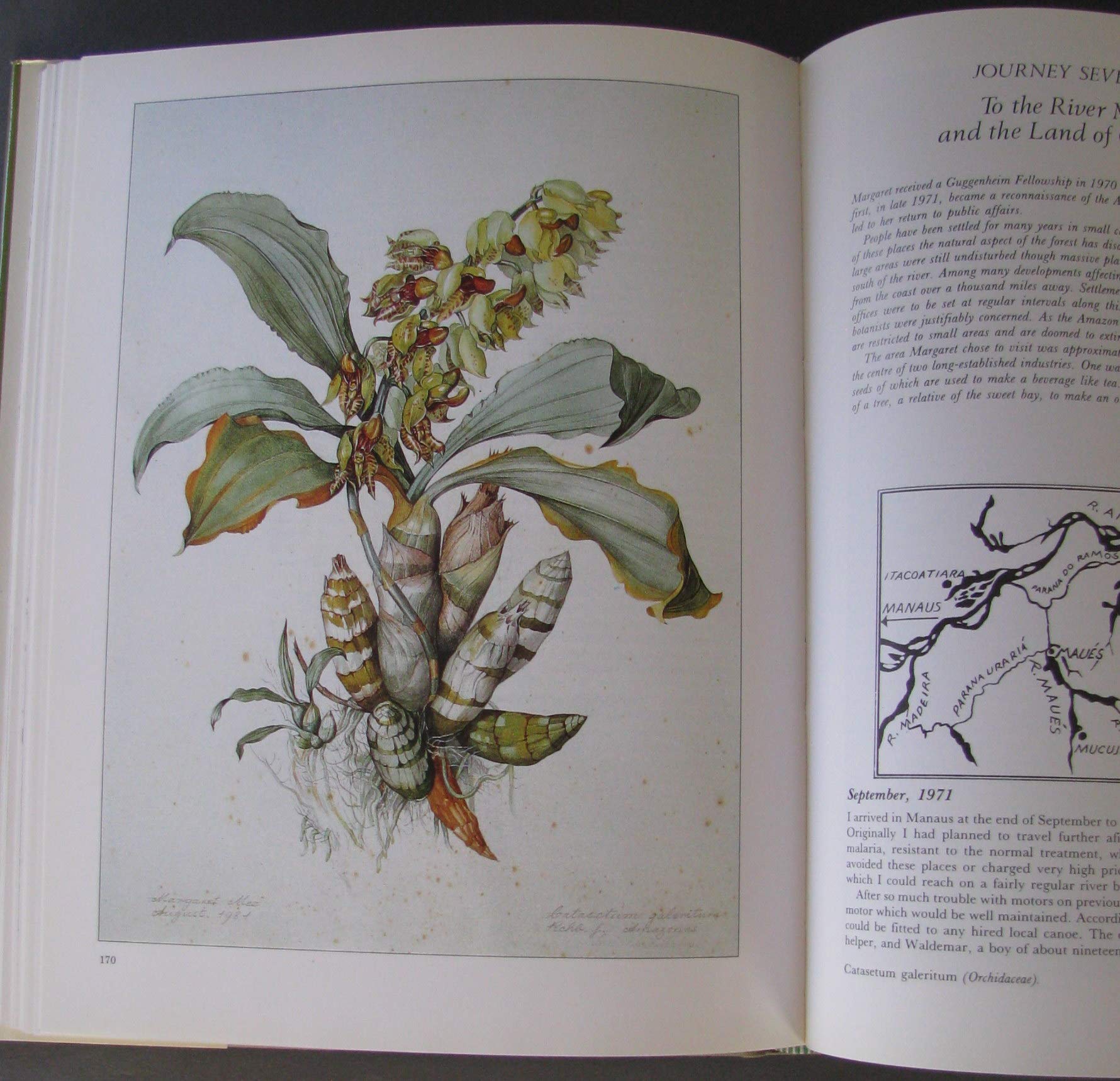 Margaret Mee In Search of Flowers of the Amazon Forests: Diaries of an English Artist Reveal the Beauty of the Vanishing Rainforest