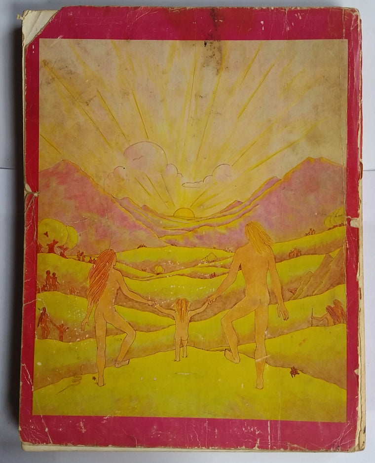 Survival into the 21st Century: Planetary Healers Manual — back cover
