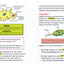 Everything You Need to Ace Biology in One Big Fat Notebook