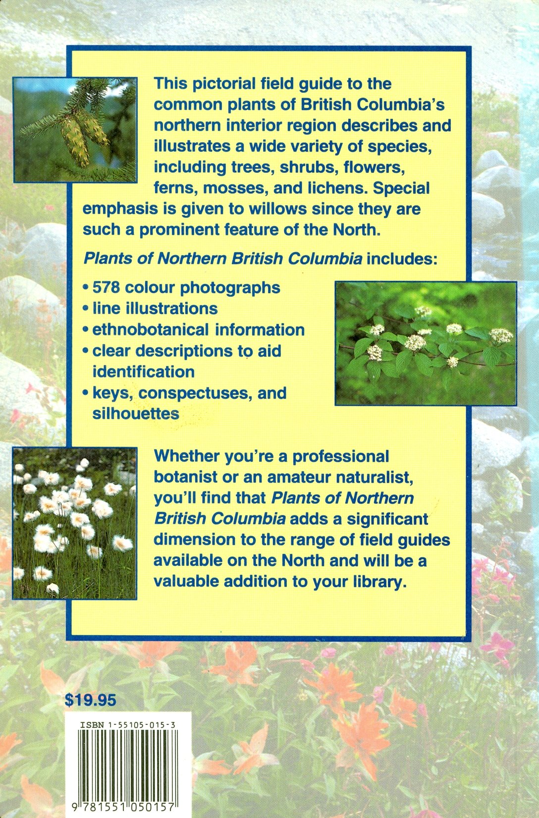 Plants of Northern British Columbia