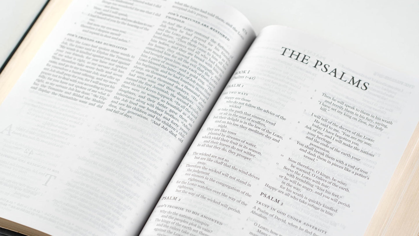 Holy Bible, NRSVue with Apocrypha, Personal Edition