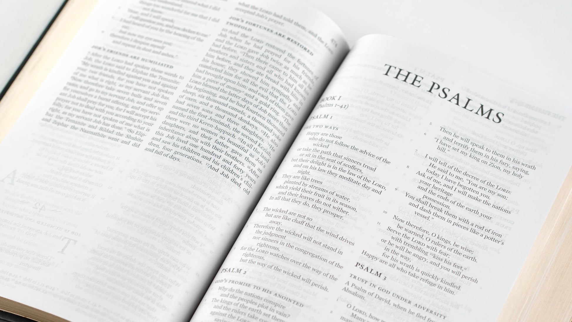 Holy Bible, NRSVue with Apocrypha, Personal Edition