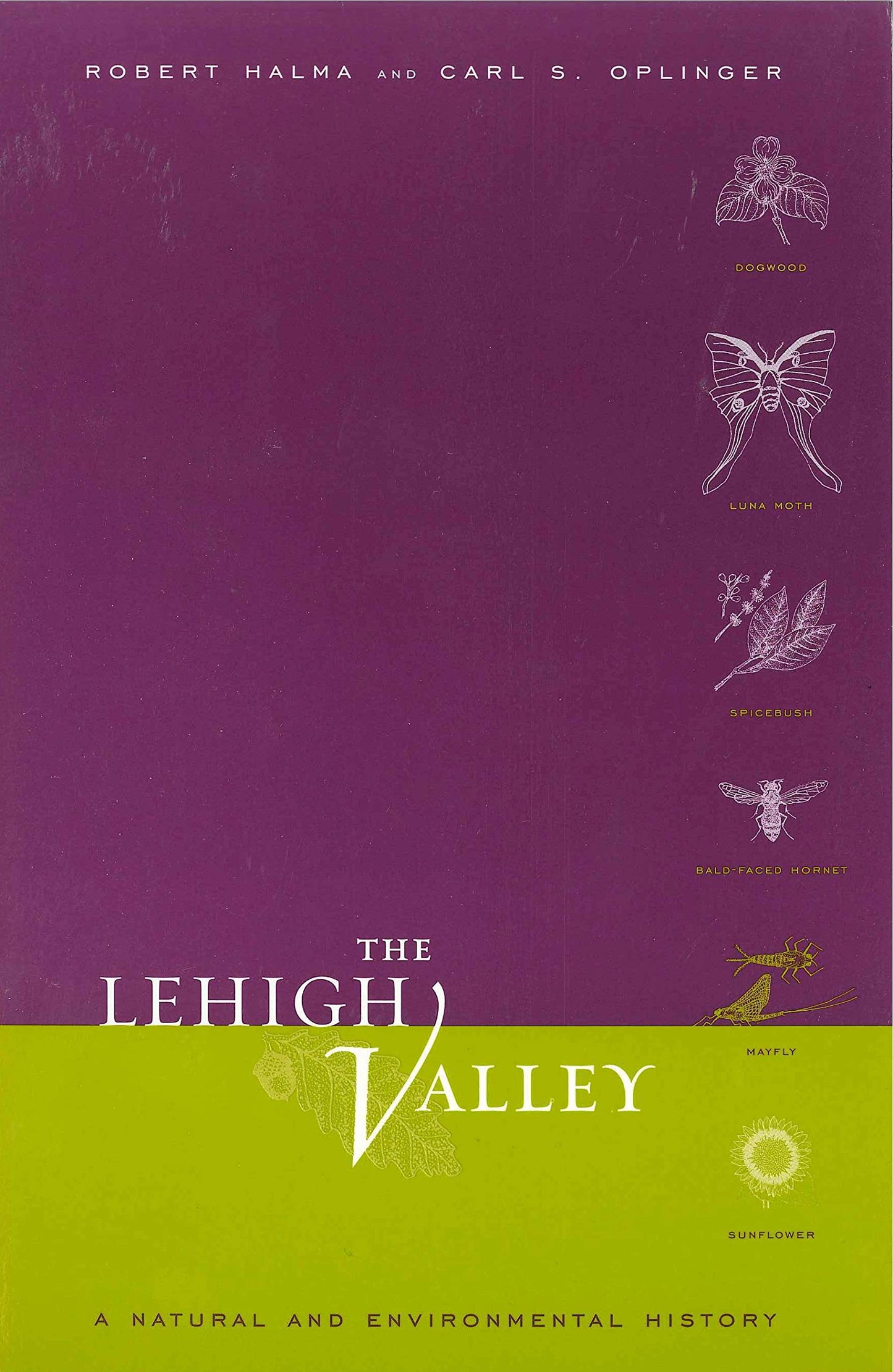The Lehigh Valley: A Natural and Environmental History (Keystone Books)
