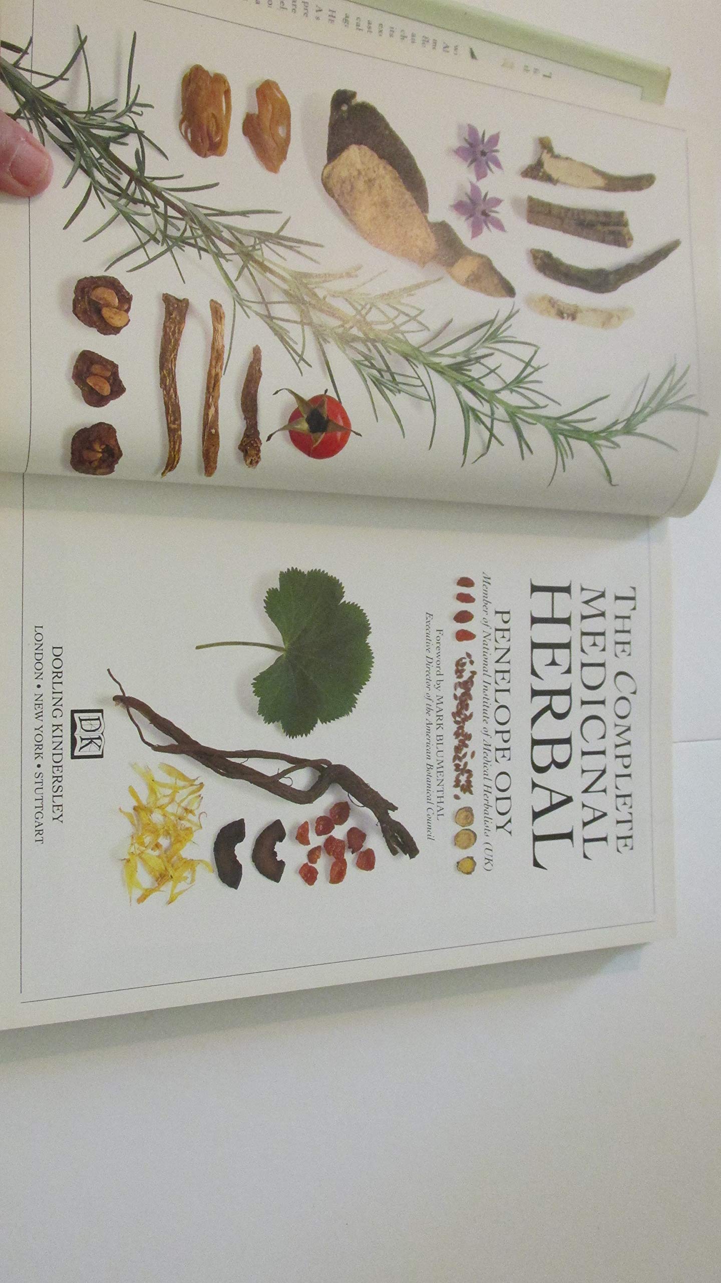 The Complete Medicinal Herbal: A Practical Guide to the Healing Properties of Herbs, with More Than 250 Remedies for Common Ailments