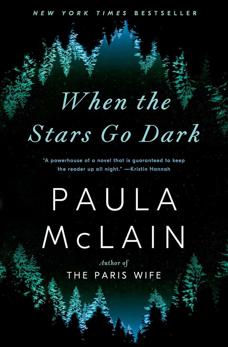 When the Stars Go Dark: A Novel
