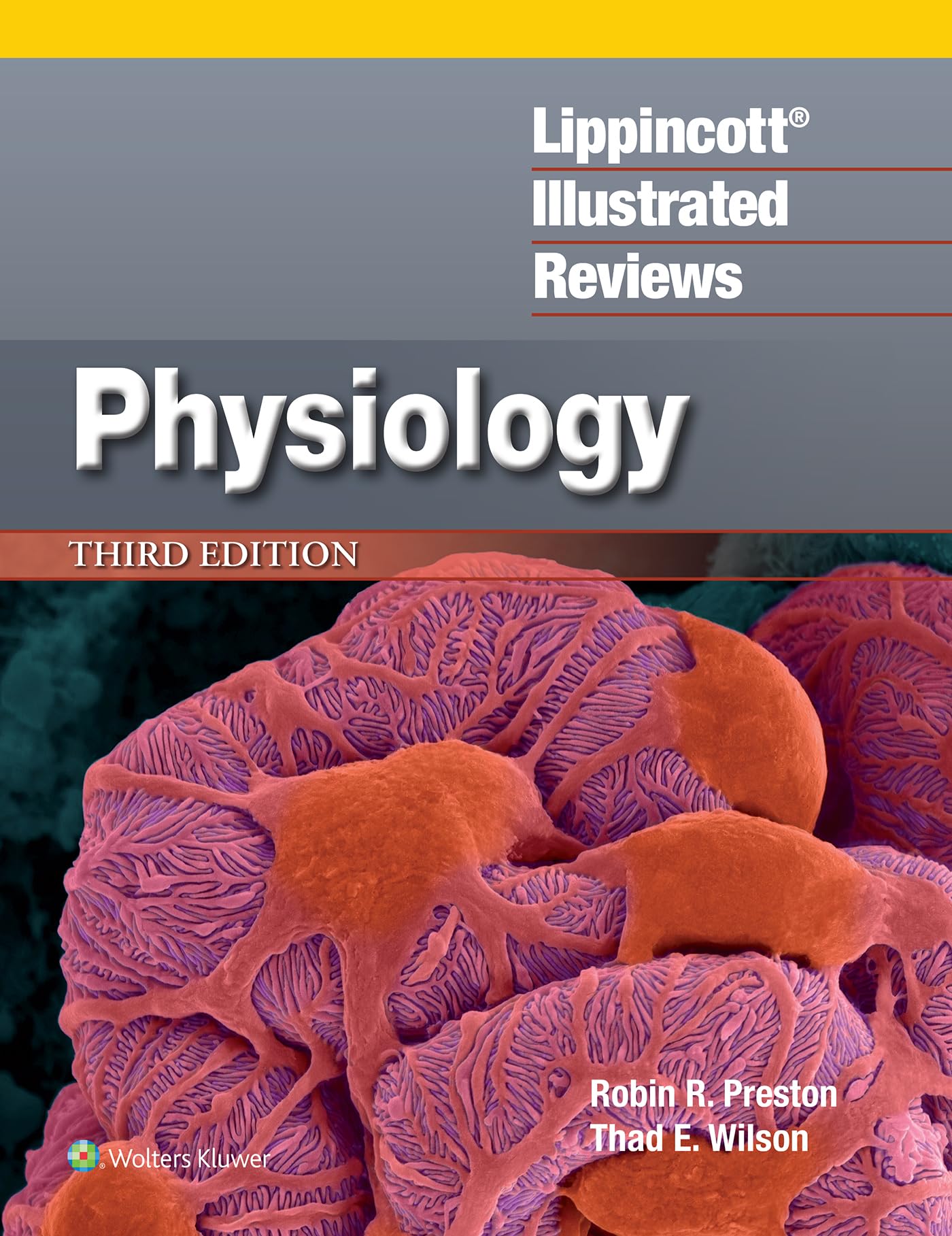 Lippincott Illustrated Reviews: Physiology (Lippincott Illustrated Reviews Series)