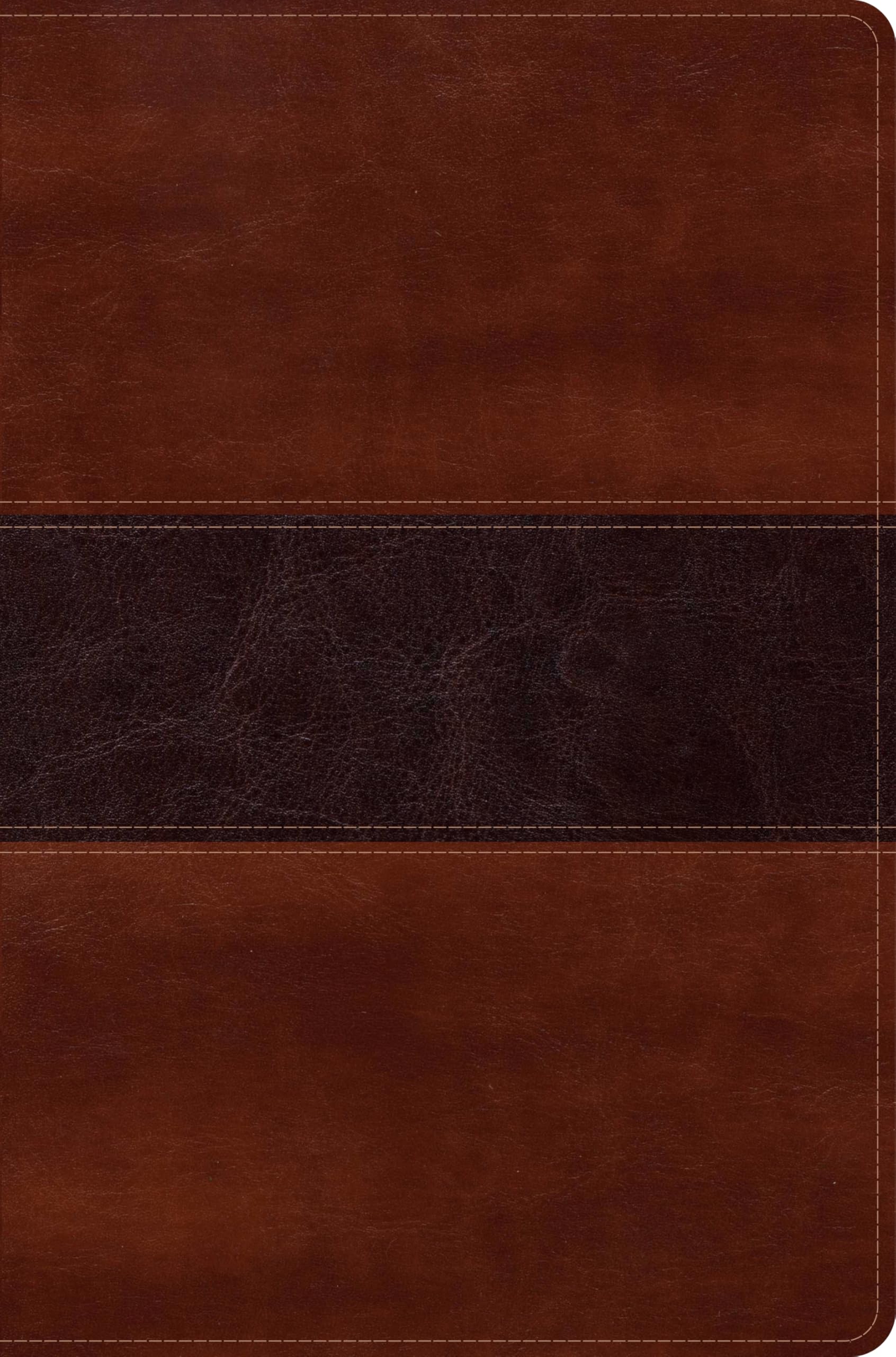 Reina Valera 1960 Biblia del Pescador, letra grande, caoba smil piel  RVR 1960 Fisher of Men Bible Hand size, Mahogany LeatherTouch (Spanish Edition)