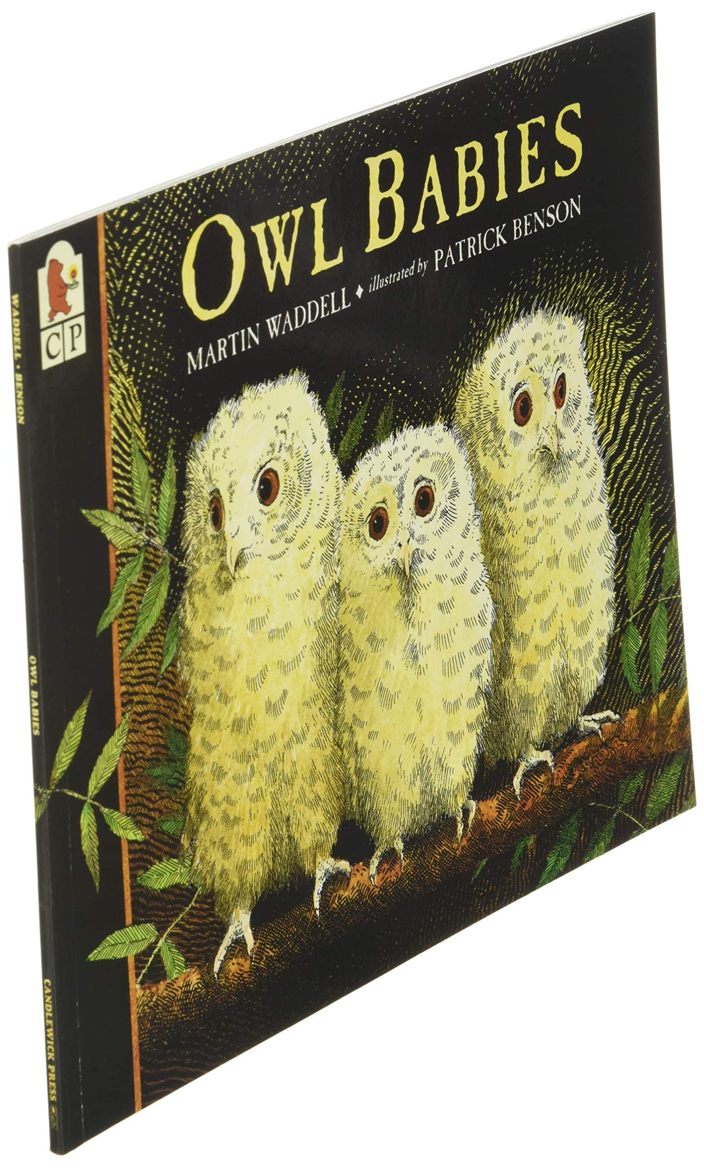 Owl Babies